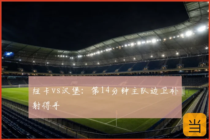 纽卡vs汉堡:第14分钟主队边卫补射得手